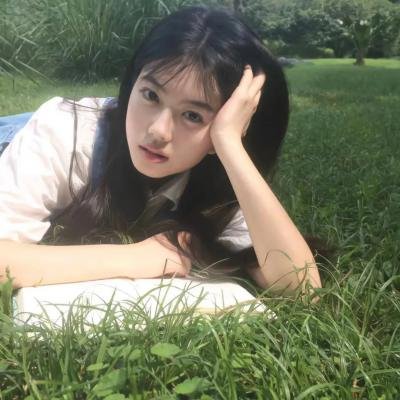 狮子彻夜未眠